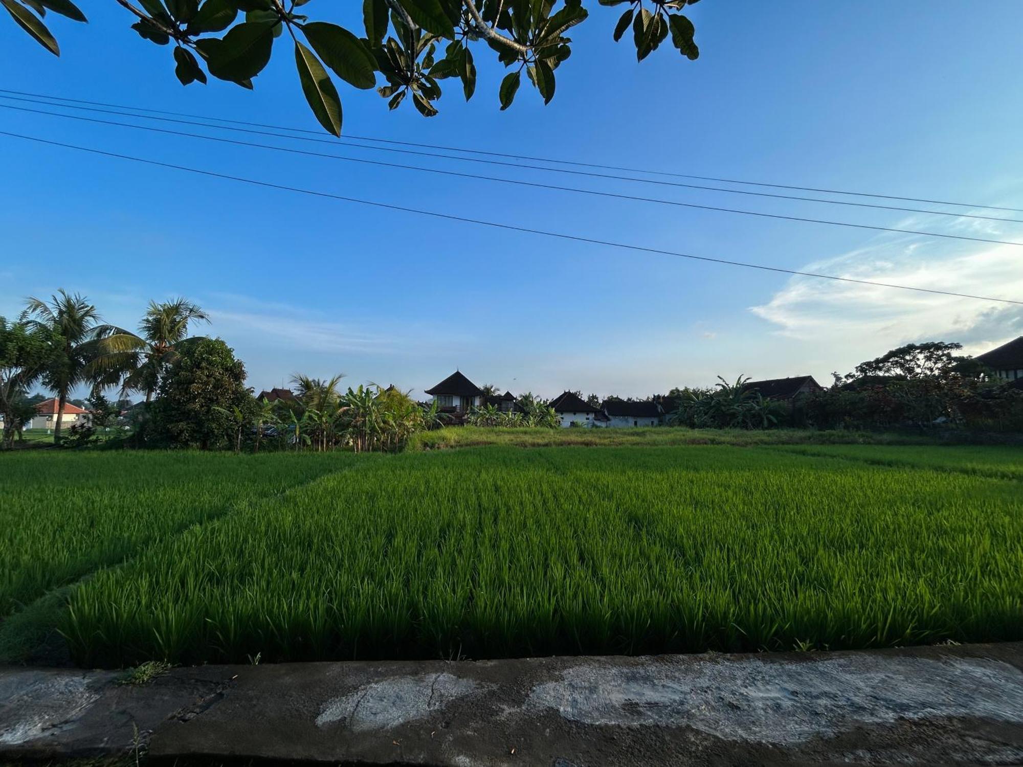 Villa Pondok Edi Ubud Exteriör bild