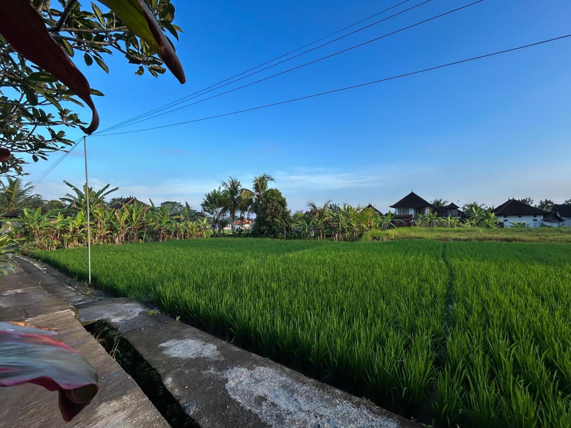 Villa Pondok Edi Ubud Exteriör bild